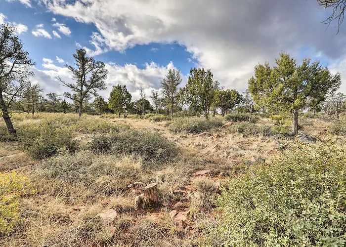 Hike & Stargaze! Serene Tonto Forest Apartment Payson